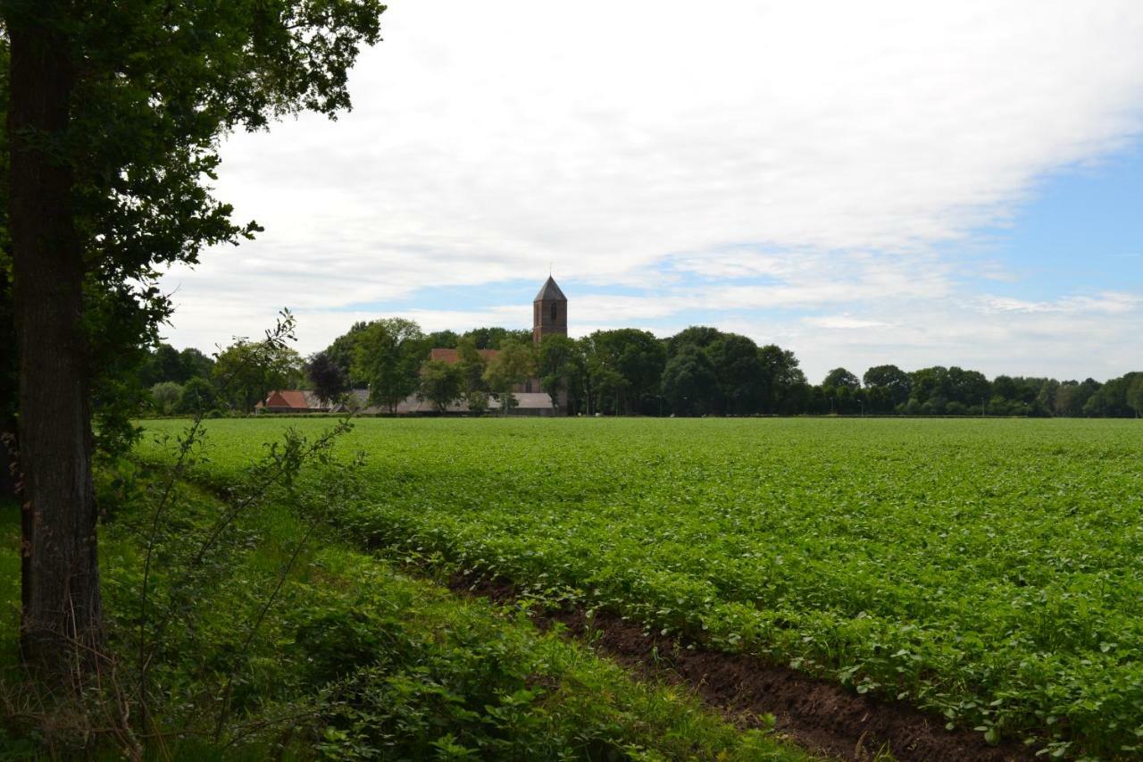Mooi Nieuw Houten Huisje Havelte Exterior foto
