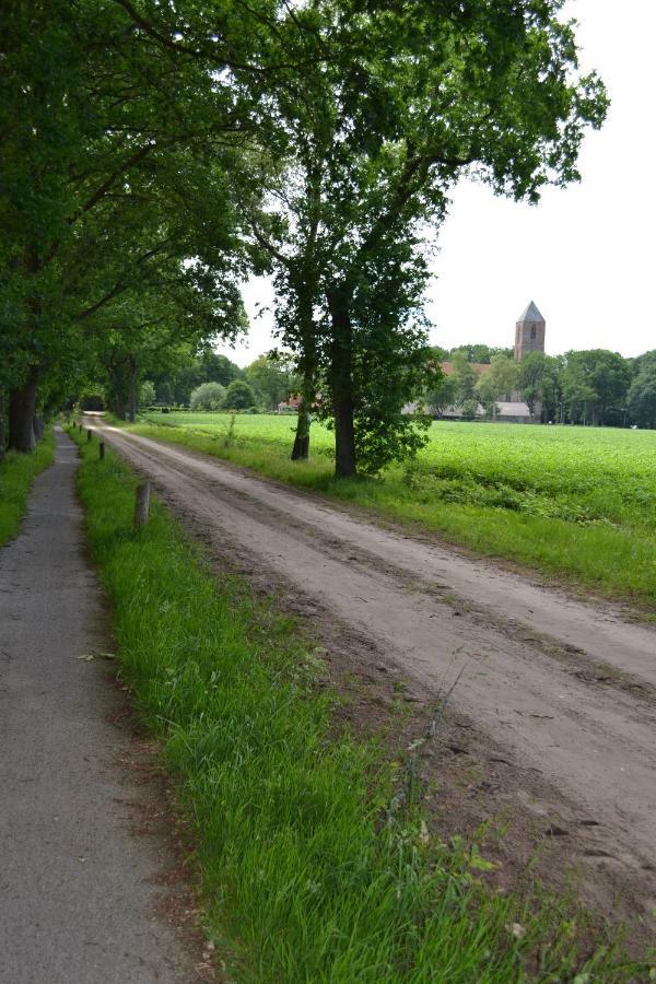 Mooi Nieuw Houten Huisje Havelte Exterior foto